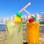 Grand Hotel Guaruja - A Sua Melhor Experiencia Beira Mar Na Praia!